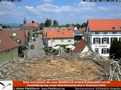 Bornheim Storks nest 1 OTD 070206