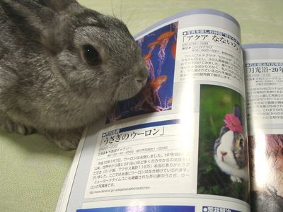 Cutest Bunny OTD 062306