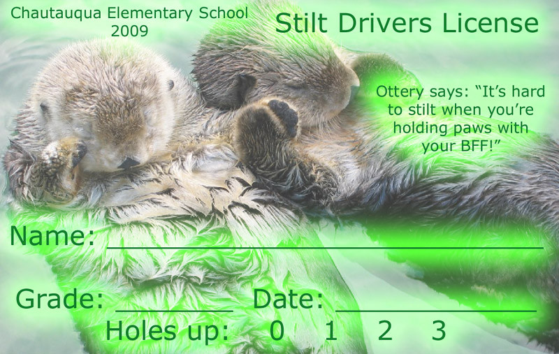 20090128 Sea Otters green