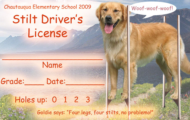 20090204 Goldie no-problemo