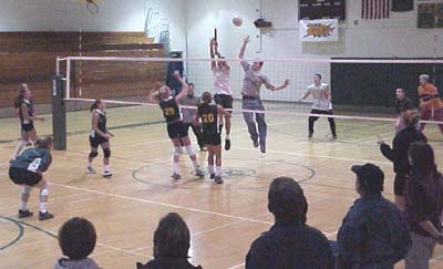 Vashon High School Pirates Girls Volleyball 2000