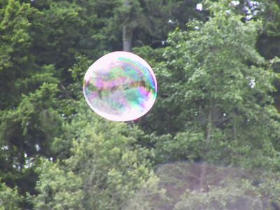 9038 Field Day 2005