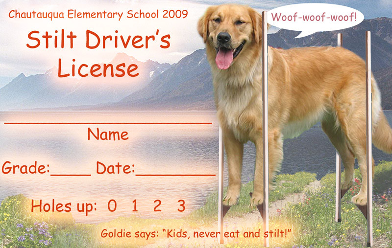 20090204 Goldie never-eat