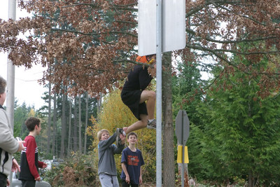 2633 Turkey Trot 2005