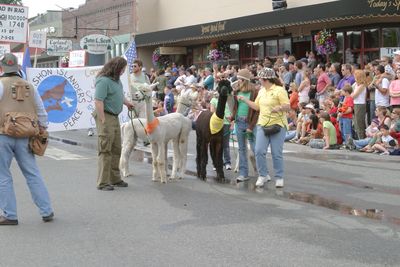 9598 Festival 05 Parade1