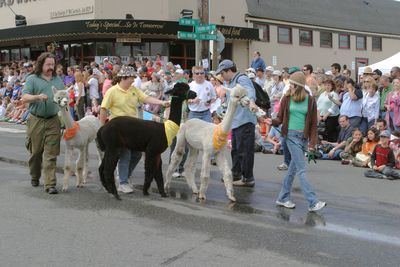 9600 Festival 05 Parade1