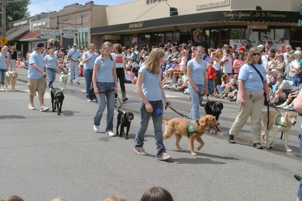 9634 Festival 05 Parade1