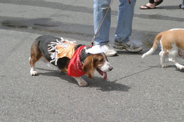9661 Festival 05 Parade2