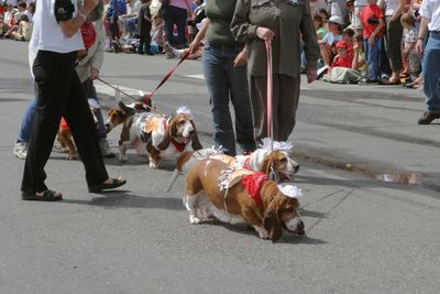 9662 Festival 05 Parade2