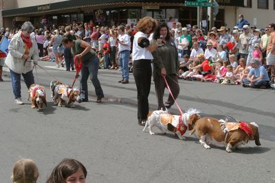 9663 Festival 05 Parade2