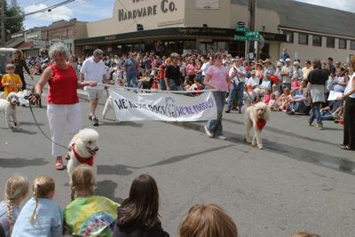 9688 Festival 05 Parade2