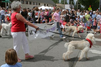 9689 Festival 05 Parade2