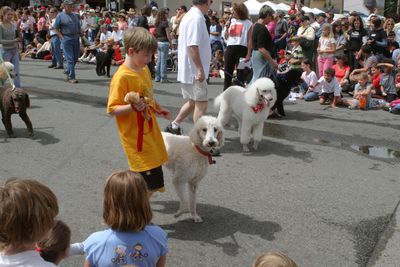 9690 Festival 05 Parade2