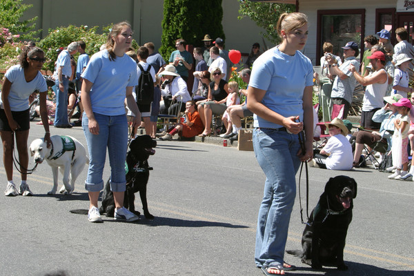 19235 Grand Parade