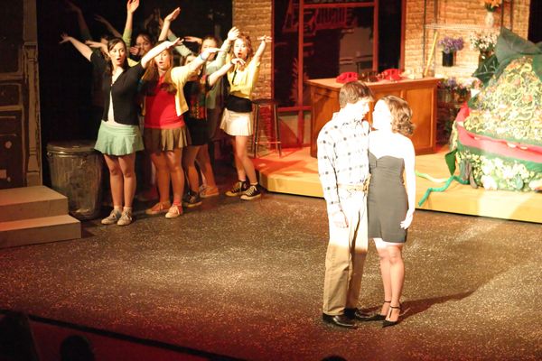 4811 Little Shop Fri