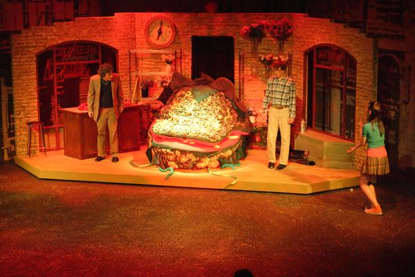 4837 Little Shop Fri