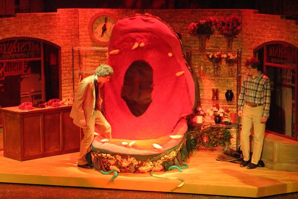 4841 Little Shop Fri