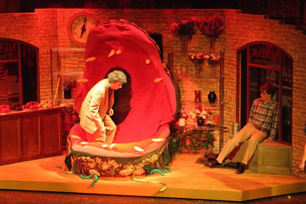 4842 Little Shop Fri