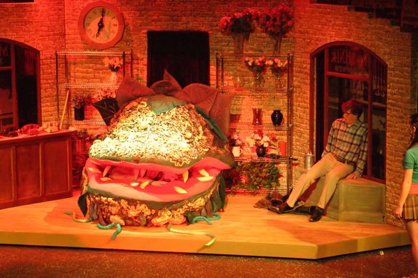 4844 Little Shop Fri