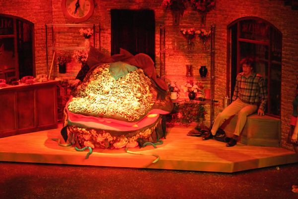 4848 Little Shop Fri