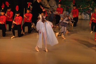 1795Nutcracker Sun