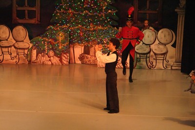 1815Nutcracker Sun