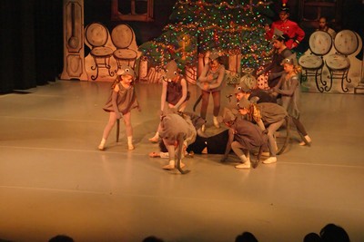 1817Nutcracker Sun