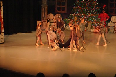 1818Nutcracker Sun