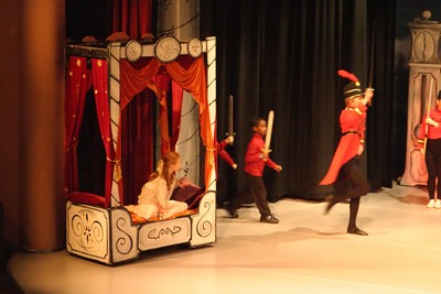 1823Nutcracker Sun