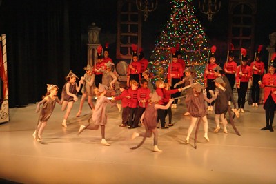 1831Nutcracker Sun