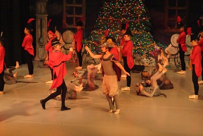1836Nutcracker Sun