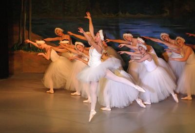 6721 Swan Lake
