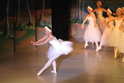 6722 Swan Lake