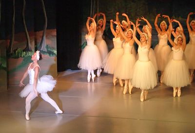 6723 Swan Lake
