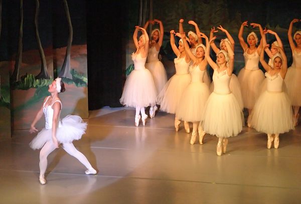 6723 Swan Lake