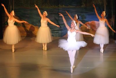 6729_Swan_Lake