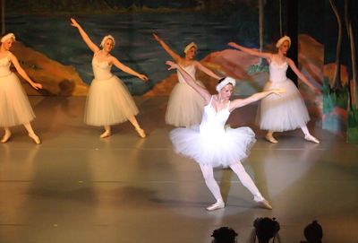 6731 Swan Lake