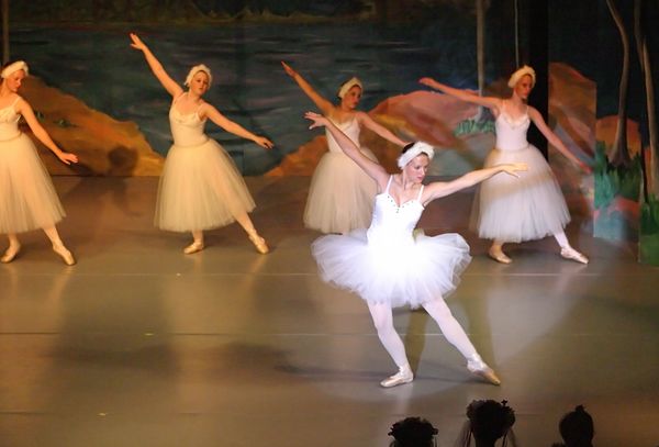 6731 Swan Lake