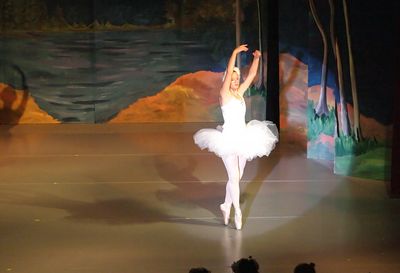 6734 Swan Lake
