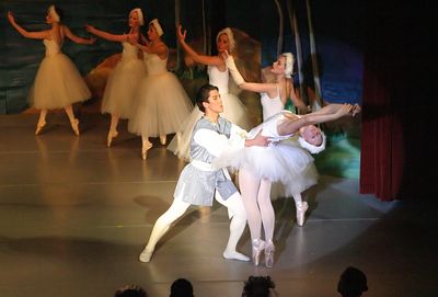 6738 Swan Lake