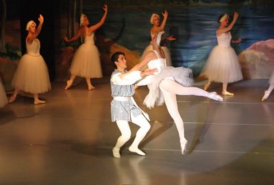 6740 Swan Lake
