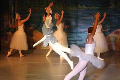 6743 Swan Lake