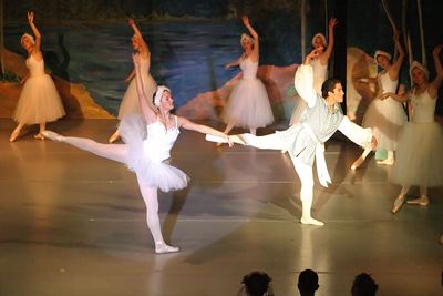 6748 Swan Lake