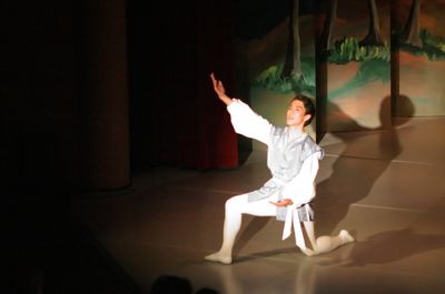 6751 Swan Lake