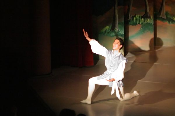 6751 Swan Lake