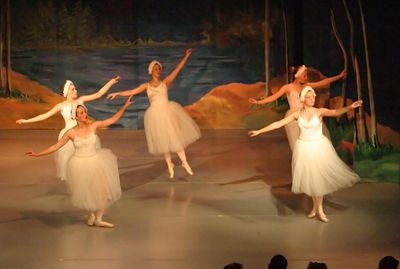 6756 Swan Lake