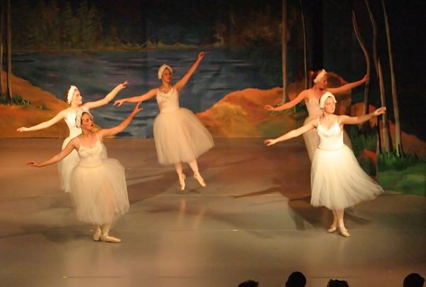 6756 Swan Lake