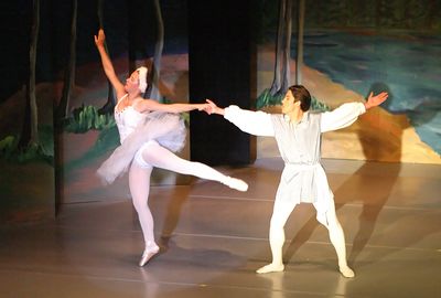 6758 Swan Lake