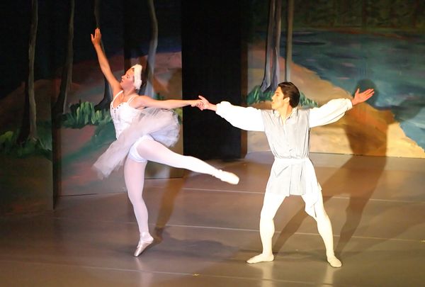 6758 Swan Lake