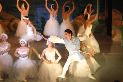 6762 Swan Lake